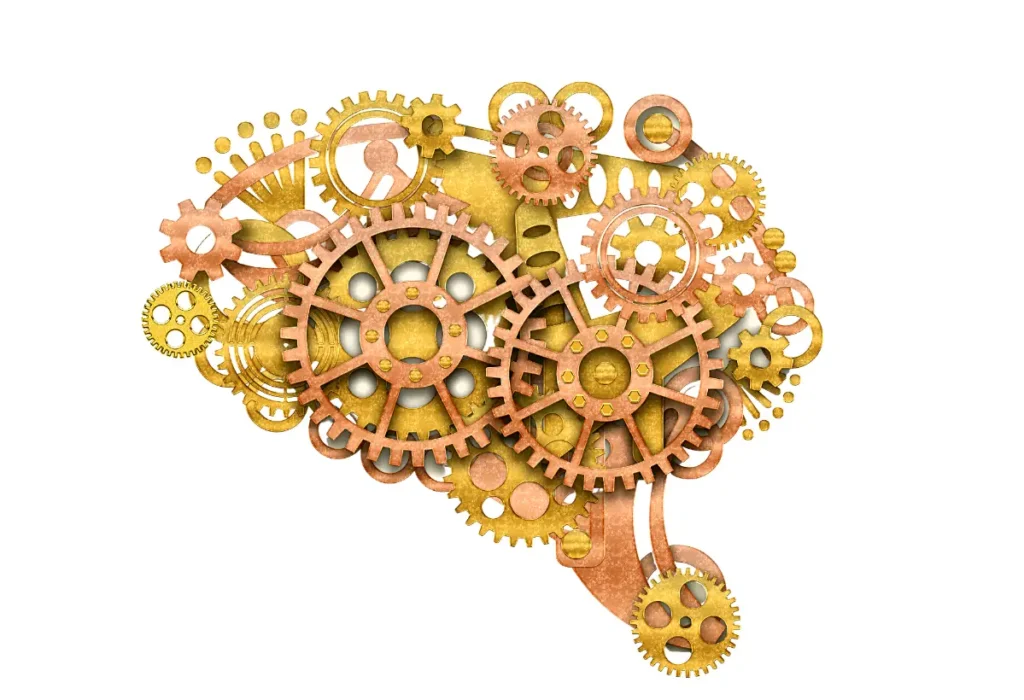 Les rouages du cerveau