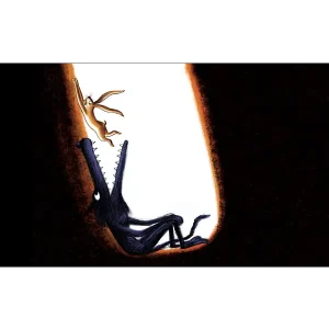 Callicephale kamishibai faim loup 4
