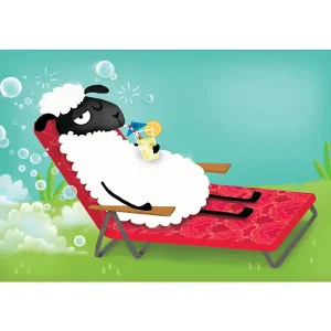 La laine des moutons 3