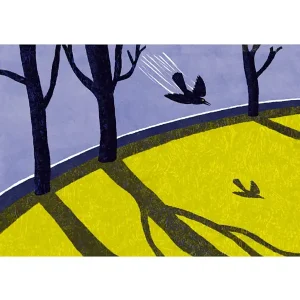 Le chat raconte aux oiseaux 5