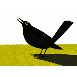 Le chat raconte aux oiseaux 6